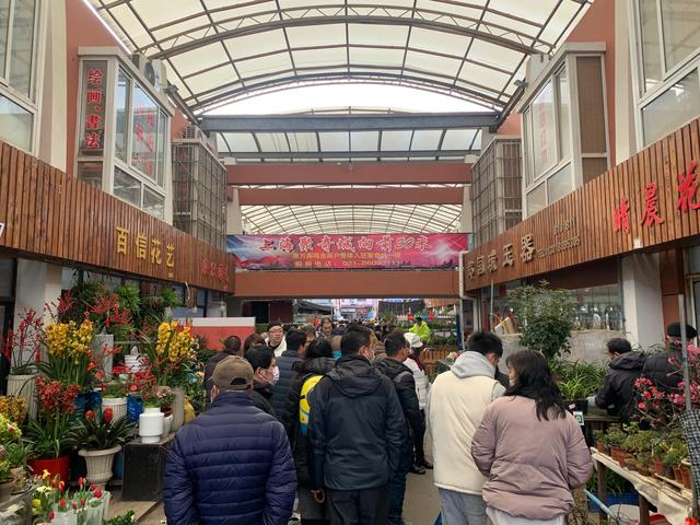 上海宠物狗市场在哪里（上海宠物狗市场视频）